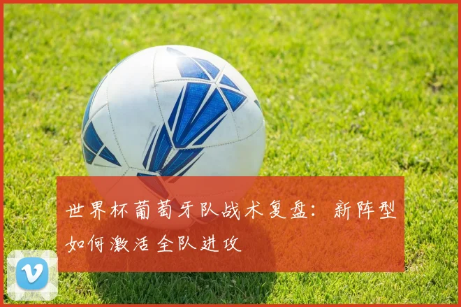 世界杯葡萄牙队战术复盘：新阵型如何激活全队进攻